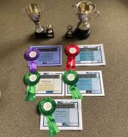 Winning trophies from the NI Velvet competitions 2020